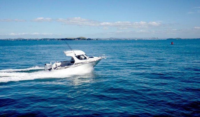 Programmed Fuel Injection (PGM-FI)