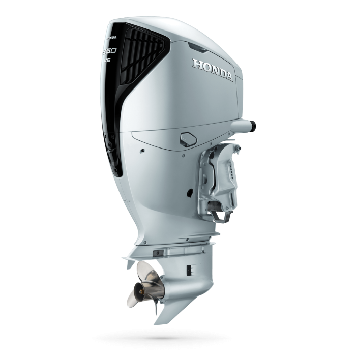 outboard-clear-cuts-2025-bf250-dbw-silver