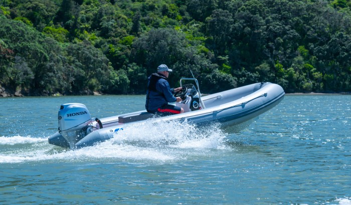 Programmed Fuel Injection (PGM-FI)