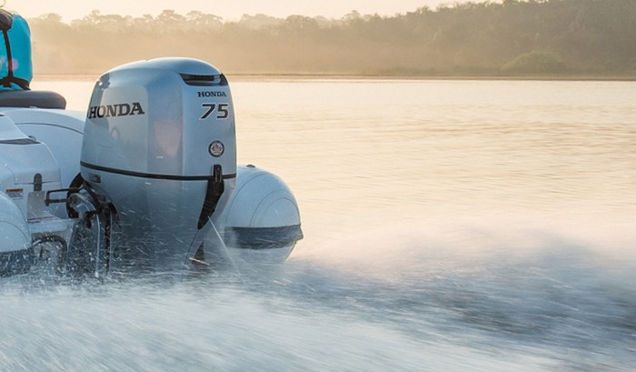 ECOmo - Lean Burn Control