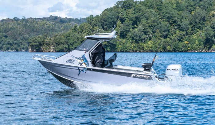 Programmed Fuel Injection (PGM-FI)