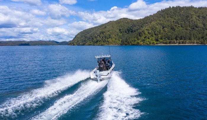 ECOmo - Lean Burn Control