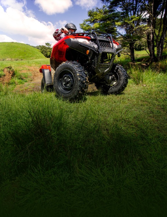 Electronic Power Steering Electronic Power Steering